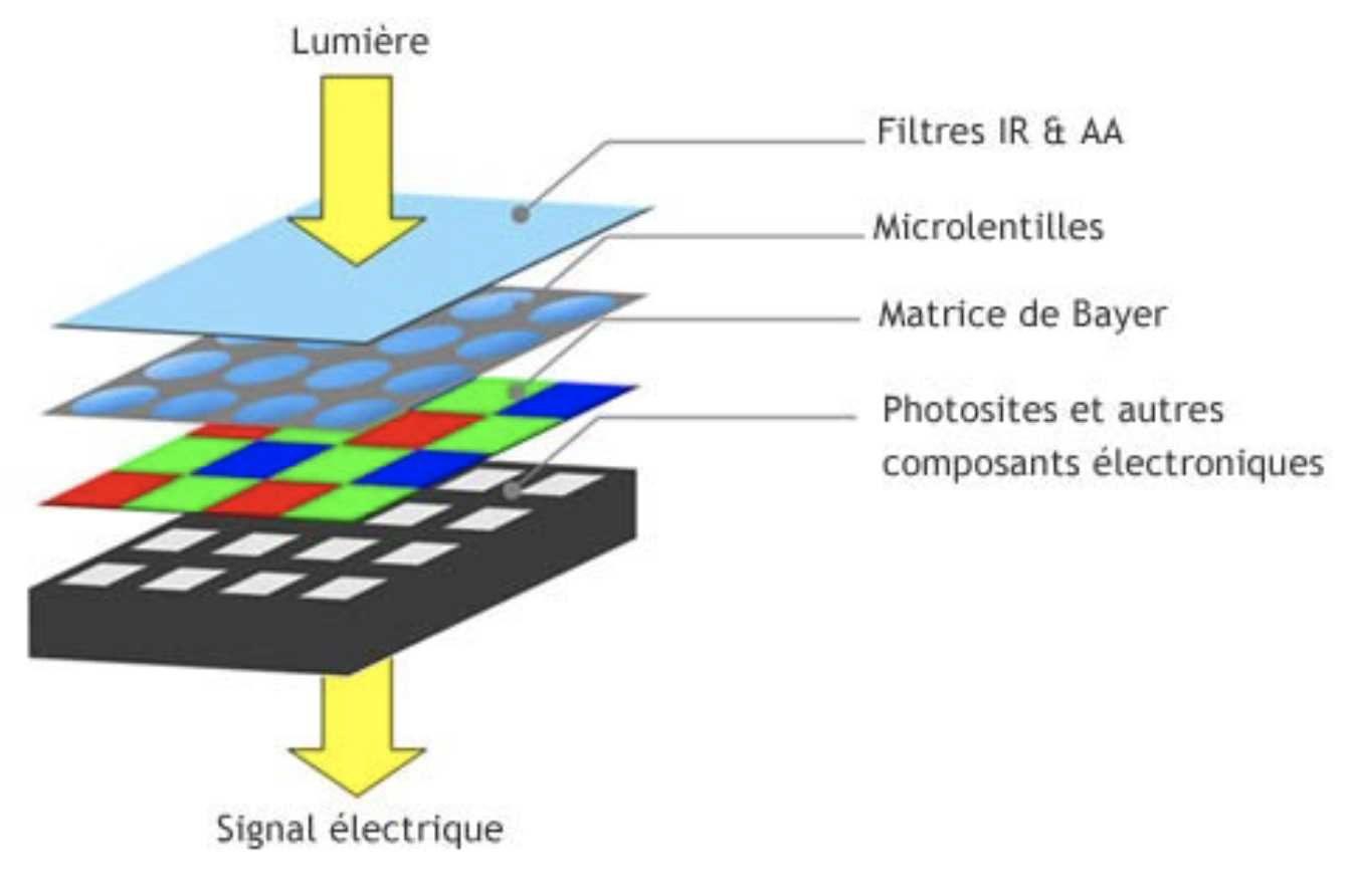 Les couches et filtres diagramme bayer