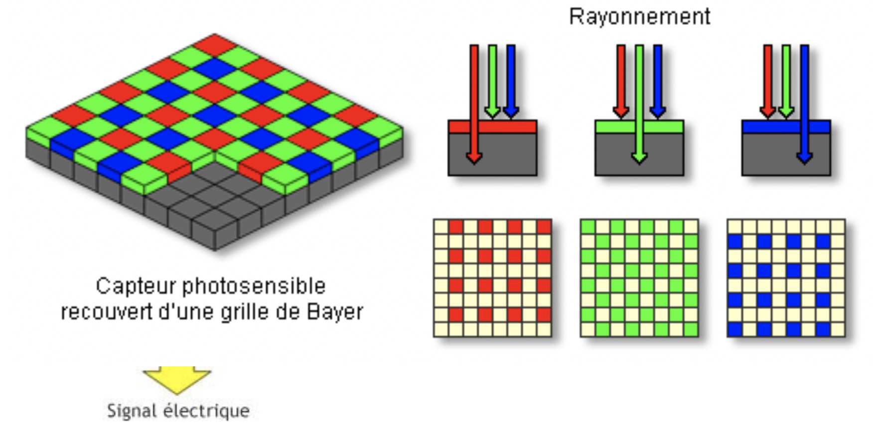 Les couches et filtres diagramme bayer