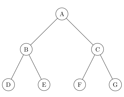 Arbre question 16