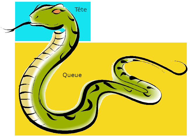 Serpent Tête et Queue